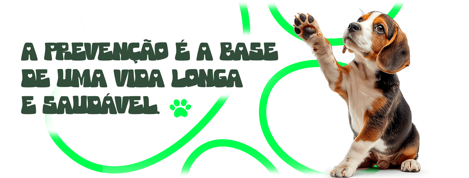 banner vacina e prevenção (1)
