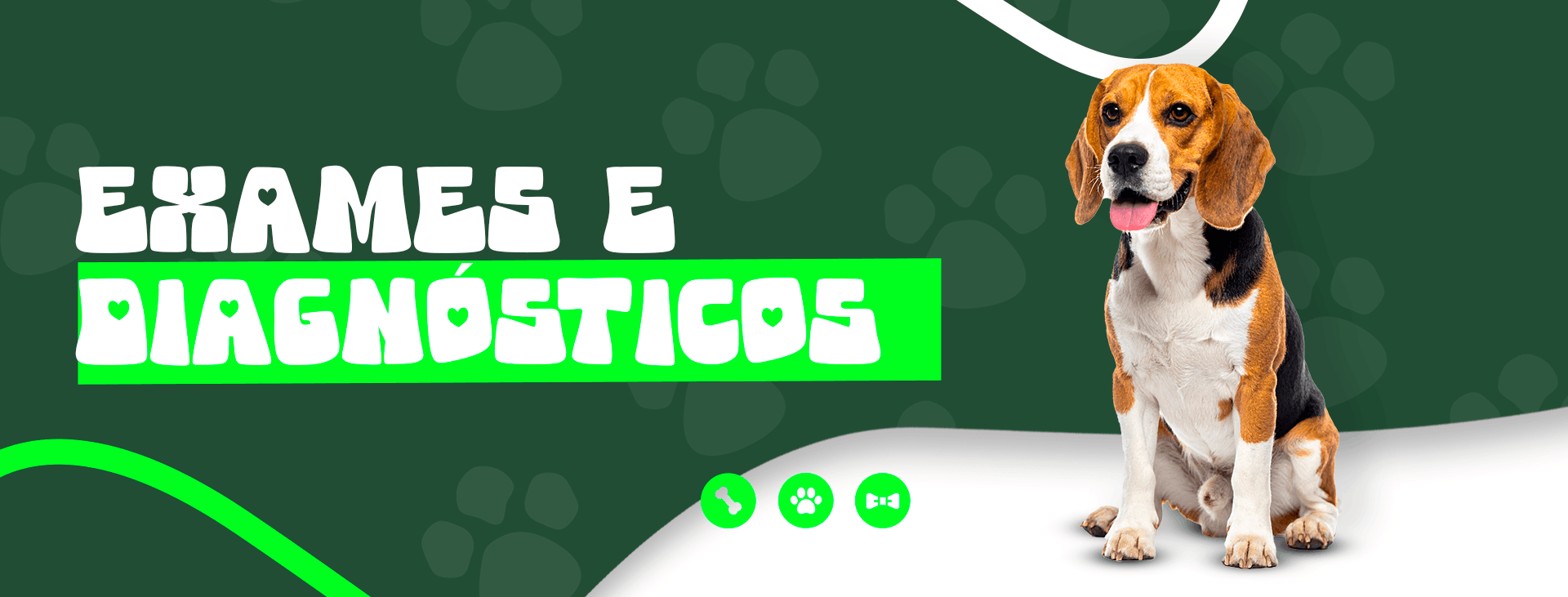 exames e diagnosticos (2)